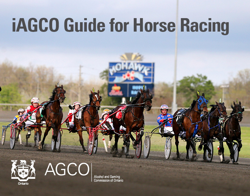 horse_racing_whats_changing_guide_web_book_banner_feb_2020.jpg