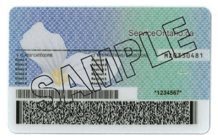 Rear face of Ontario driver's licence