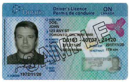 Front face of Ontario driver's licence