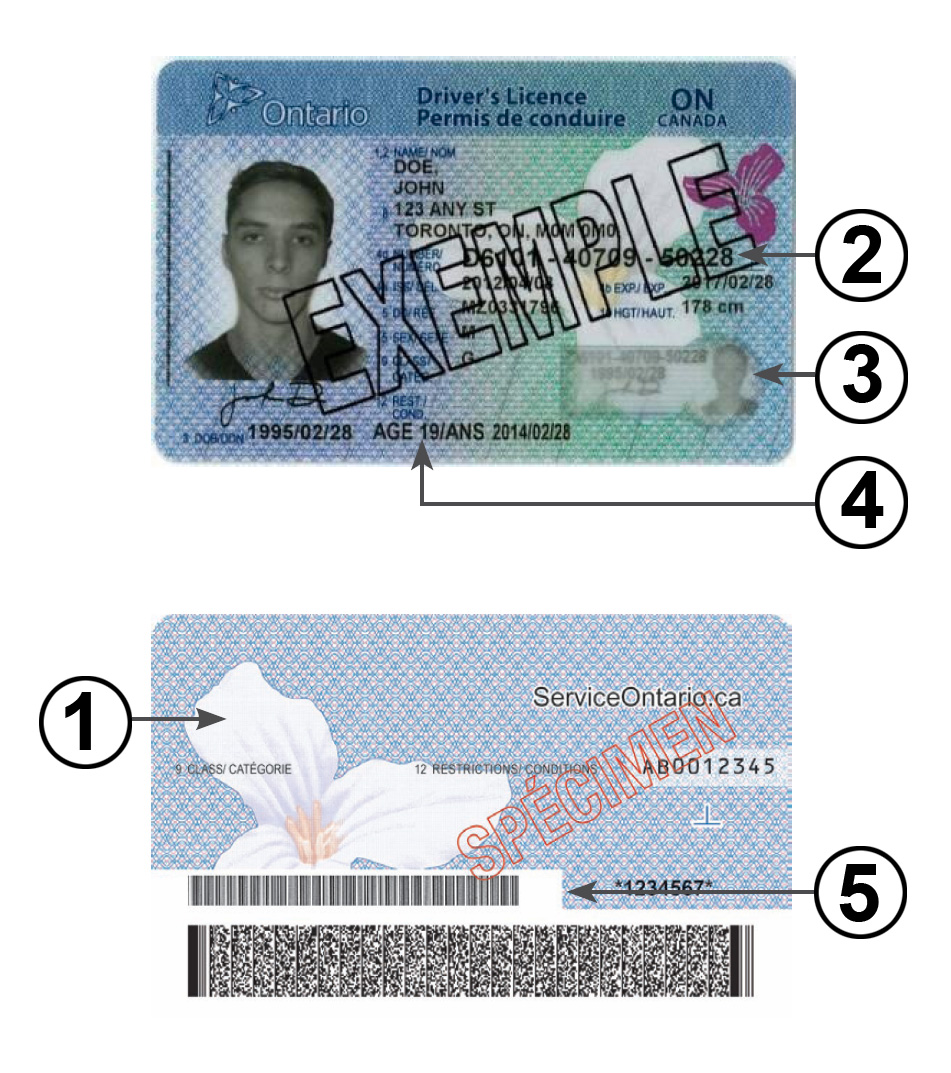 Ontario Health Card Fake Id