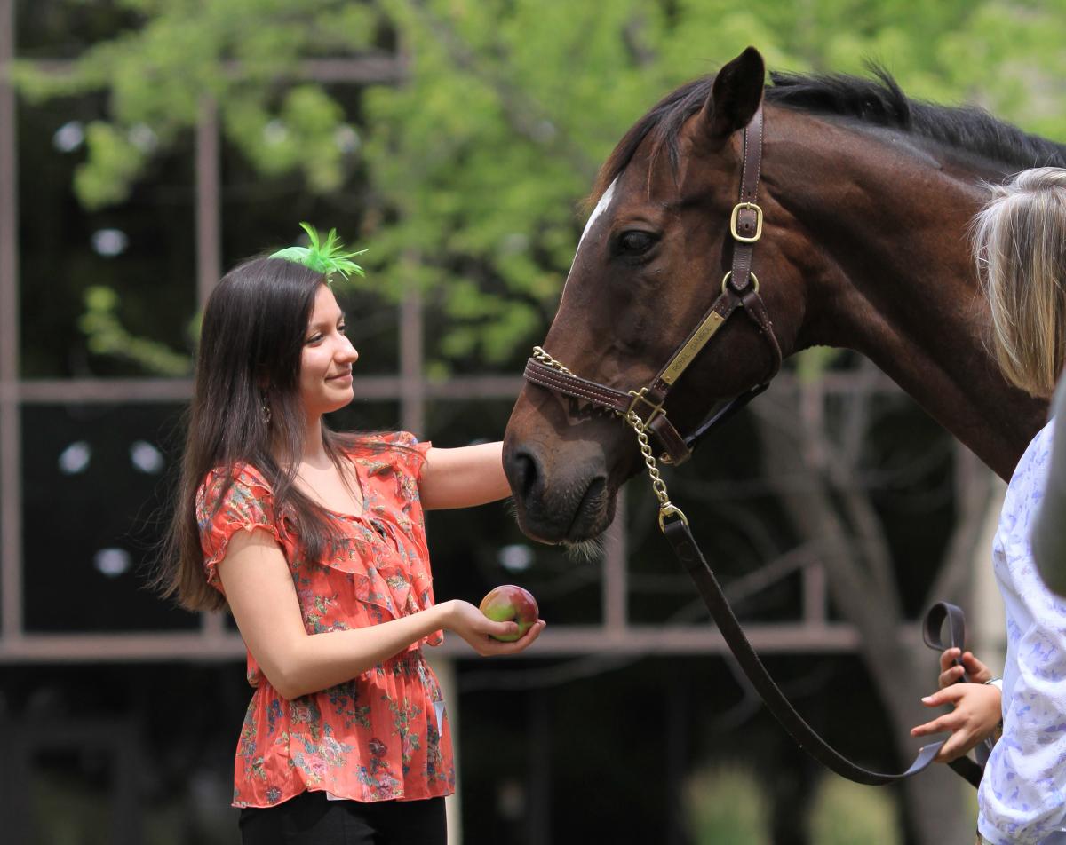 Un employé de la CAJO nourrit un cheval avec une pomme.