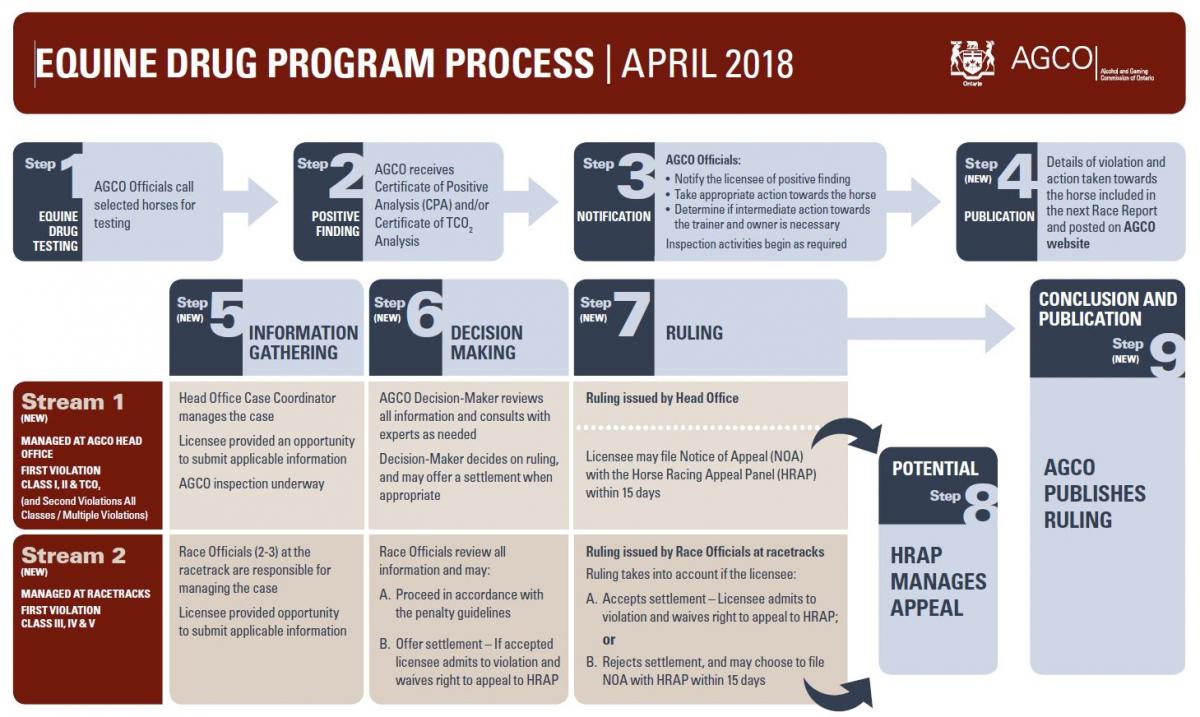 Equine drug program process